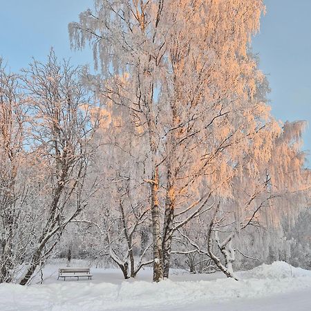Tilava Uudistettu Perheasunto Daire Rovaniemi Dış mekan fotoğraf