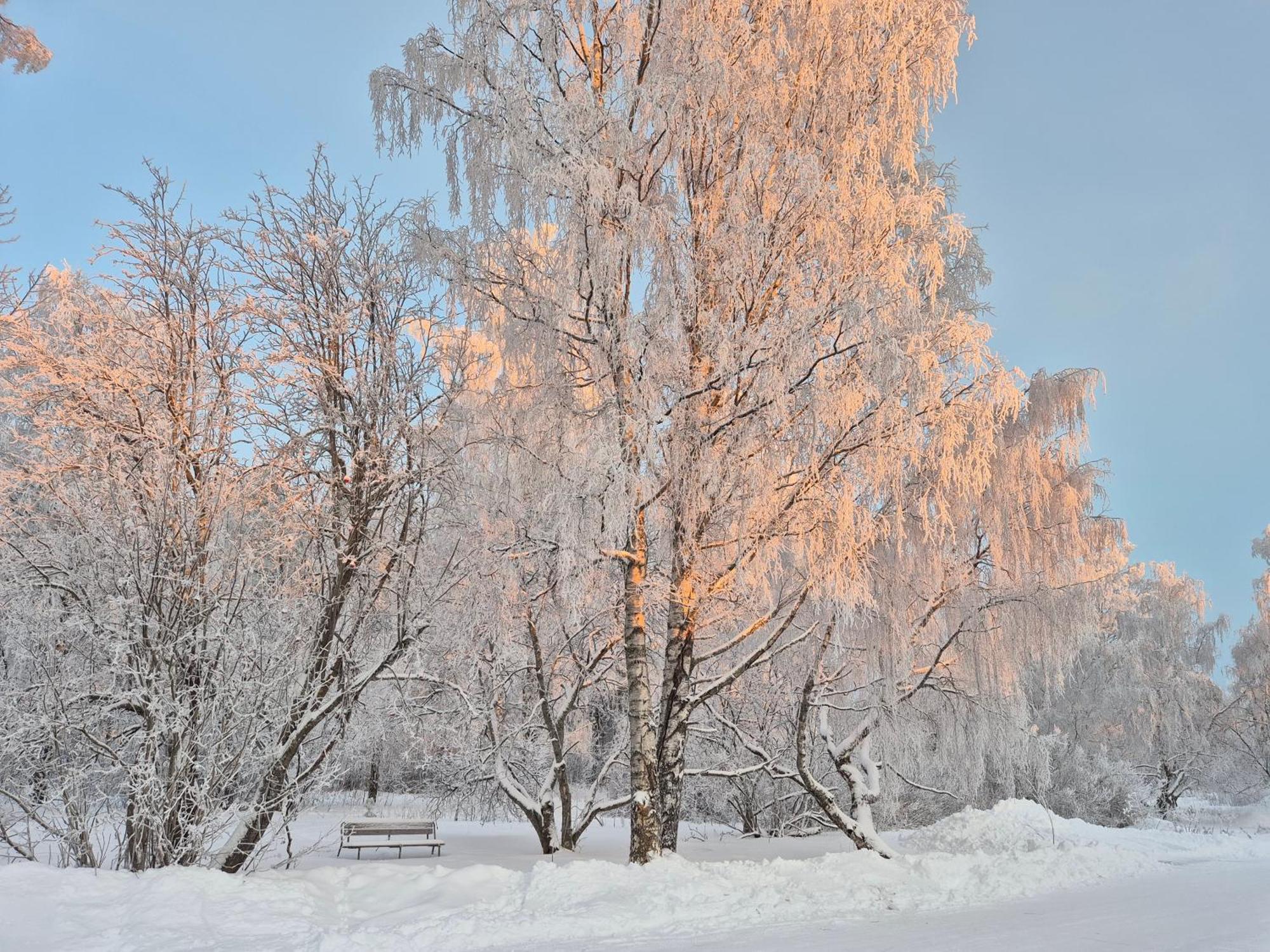 Tilava Uudistettu Perheasunto Daire Rovaniemi Dış mekan fotoğraf